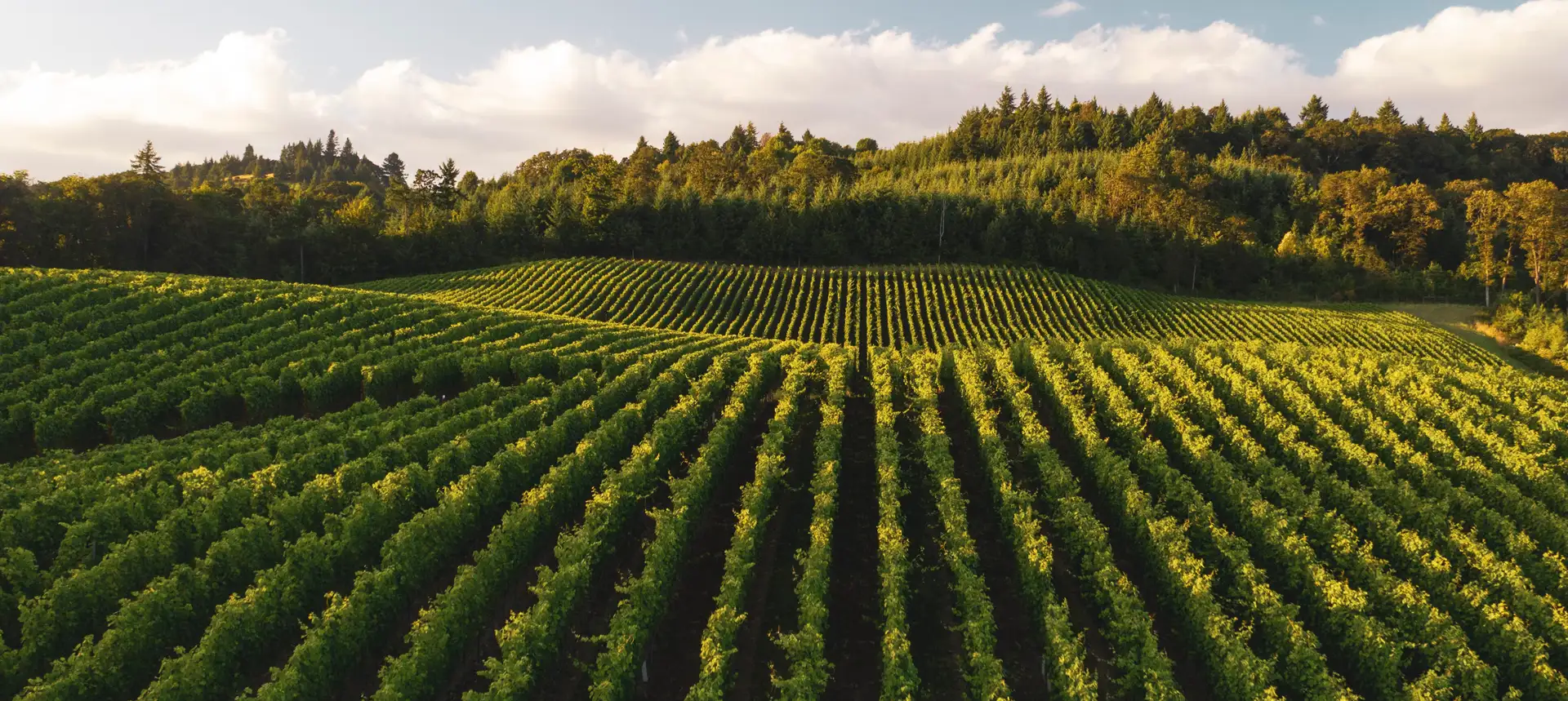 No coração do agronegócio, antes da terra e da máquina, estão as  pessoas.