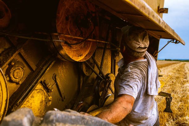 Gestor de Oficinas Gerais | Angola – África